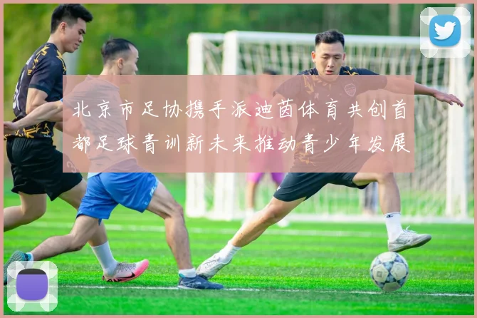 北京市足协携手派迪茵体育共创首都足球青训新未来推动青少年发展与足球事业繁荣