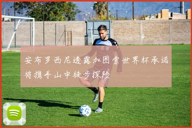 安布罗西尼透露加图索世界杯承诺将携手山中徒步探险